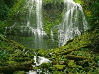 Incredible Natural Beauty Nature Wallpaper Resolution My