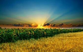 Landscape Desktop Wallpaper HD