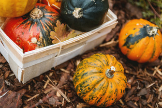 Cozy Autumn Wallpaper