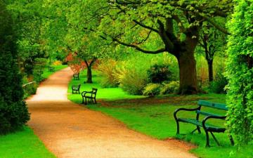 Park Wallpaper Top Background