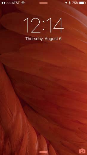 Newest Ios Beta Comes With Some Awesome New Wallpaper