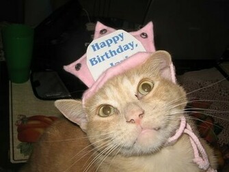 Funny BirtHDay Cat Desktop Wallpaper
