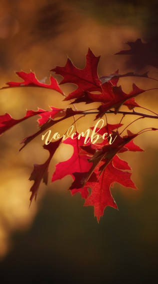 Fall Wallpaper Macbook Air Novem