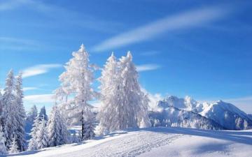 Winter Wonderland Wallpaper Enjpg