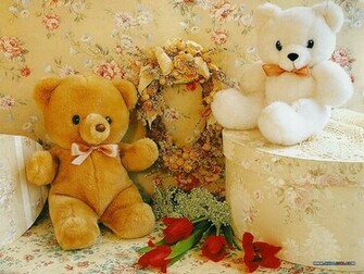 Lovely And Beautiful Teddy Bear Wallpaper Allfreshwallpaper