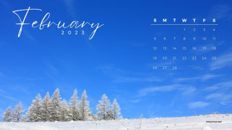 February Calendar Wallpaper HD Net