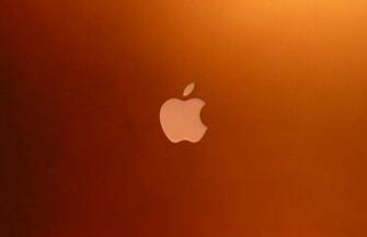 Apple Green HD Image Wallpaper Amazing Wallpaperz