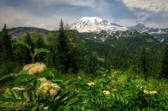 Wallpaper Usa Mountains Landscape Forest Desktop