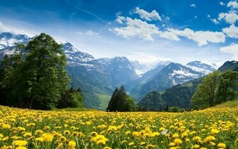Related Wallpaper For Set As Background To Your Desktop Screen