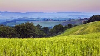 Grassland Wallpaper Pictures