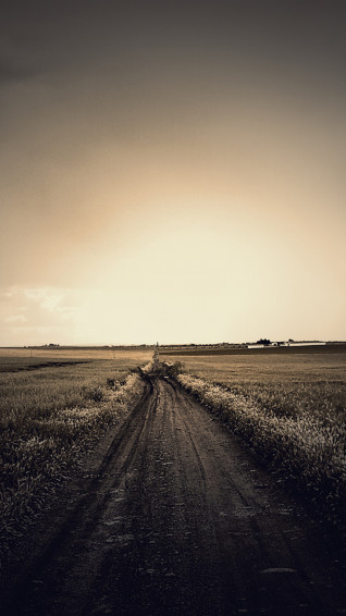 Country iPhone Wallpaper