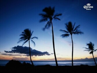 Corona Wallpaper