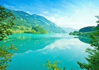 Summer Nature Wallpaper