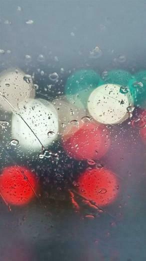 Android M Wallpaper Shy