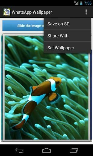 Bigger Wallpaper To Whatsapp For Android Screenshot
