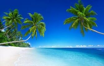 Tropical Paradise Beach Coast Sea Blue Emerald Ocean Palm