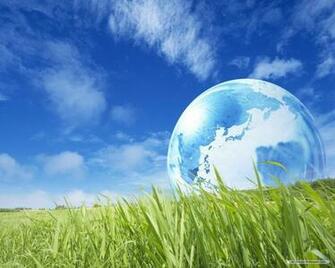 Nature Wallpaper Wonderful Green