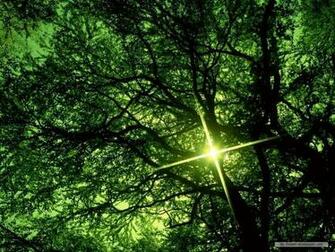 Wallpaper Nature Spring