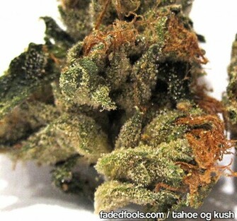 Og Kush Wallpaper