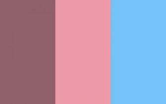 Resolution Mauve Taupe Mauvelous And Maya Blue Solid