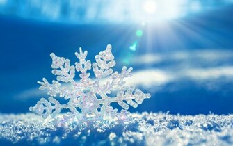 Close Up Foto Van Een Sneeuwvlok HD Winter Wallpaper