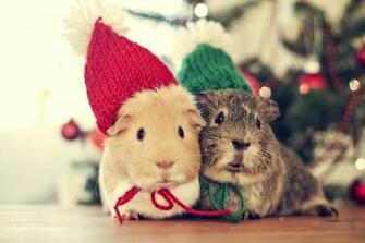Cozy Couple Holiday Mouse Wallpaper By Kyouko Revelwallpaper Net