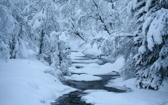 Winter River Snow Trees HD Wallpaper