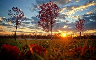 Most Beautiful Sunset HD Wallpaper MixHD
