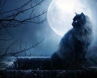 Black Cats Wallpaper Android Appar P Google Play