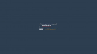 Developer Wallpaper HD