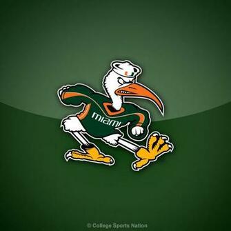 University Of Miami Wallpaper