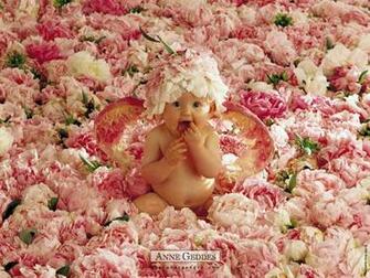 Wallpaper Photo Art Anne Geddes Baby Pictures Photos