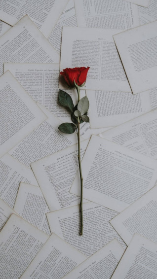 Love Aesthetic Wallpaper