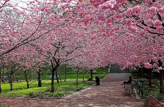 Spring Season HD Screensavers Image Wallpaper