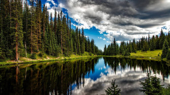 Lake Rows Of Pine Trees Wallpaper