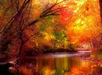 Four Seasons Wallpaper The Jpg