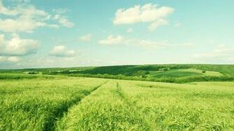 Beautiful Greeny Summer Look Farm HD Wallpaper