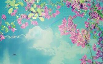 Wallpaper Spring Pink Blue Skies Myspace Background