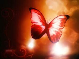 Red Butterfly HD Wallpaper Walops