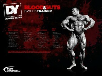 Sochillbro S Blood And Guts Bodybuilding Forums