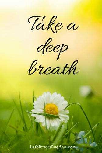 Mindful Wallpaper For Your Phone Left Brain Buddha