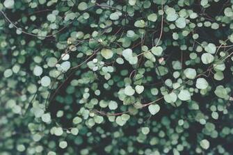 Slider Archives Of Preppy Wallpaper