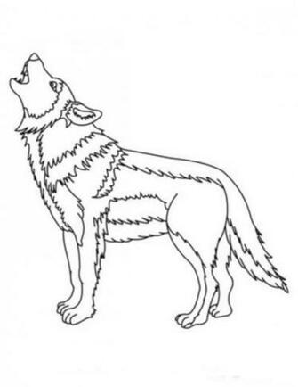 For Kids Please See The Wolf Coloring S And Print Immediately