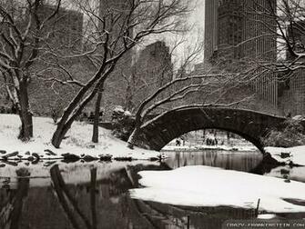 Wallpaper Central Park Winter Wonderland