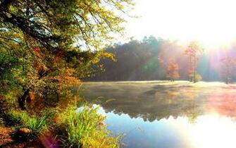 Natural Beauty HD Wallpaper My Image