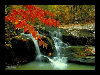 Wallpaper Dekstop U Natural Beauty