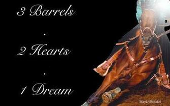Barrel Racing Graphics Code Comments Pictures