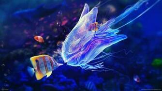 Underwater Photography Wallpaper WallpaperHDc