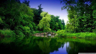 Full HD Nature Wallpaper