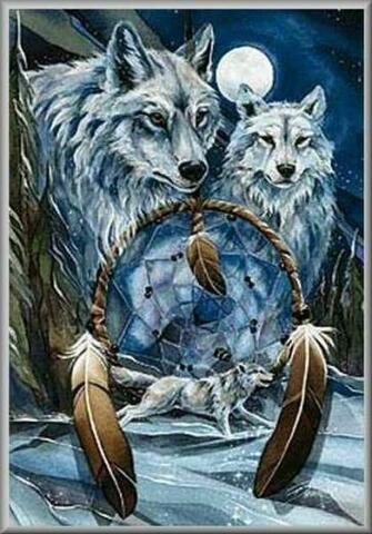 Dreamcatcher Wolves Graphics Code Comments